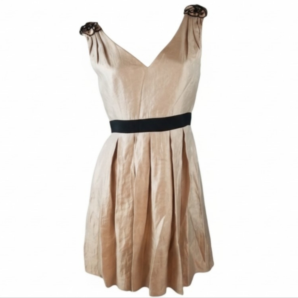 Adrianna Papell Size 8 Champagne Black Cocktail Dress